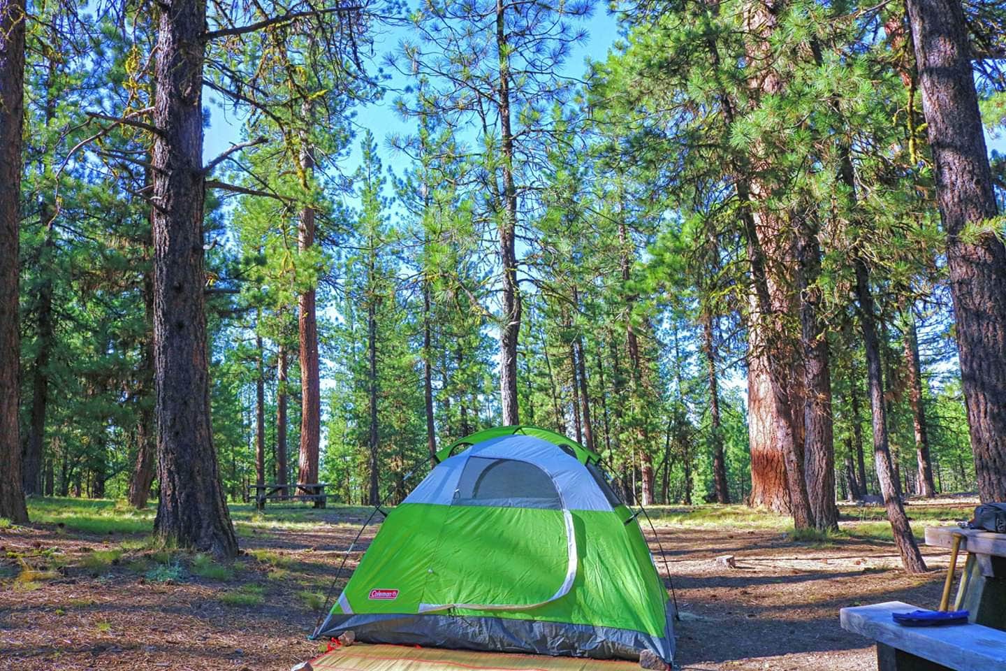 Camper submitted image from Pine Mountain Campground - 2