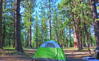 James J.'s photo at Pine Mountain Campground near Brothers, OR