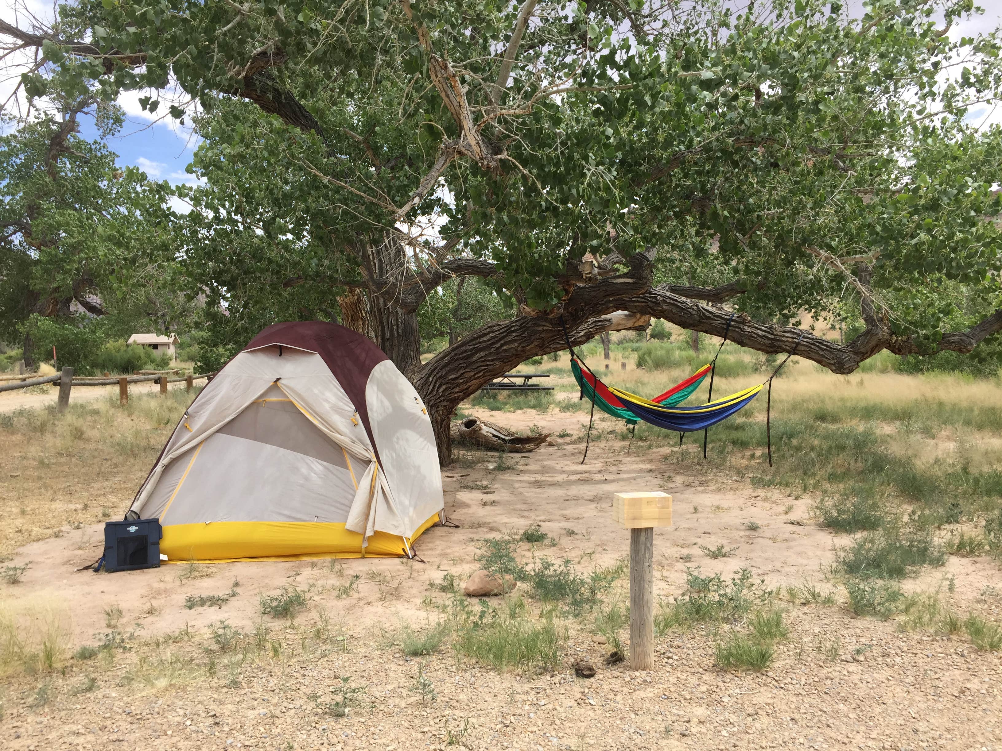 Camper-submitted photo at Swinging Bridge Equestrian Campground near Hanksville, UT