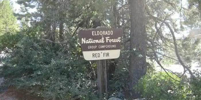 Camper submitted image from Red Fir Group Campground