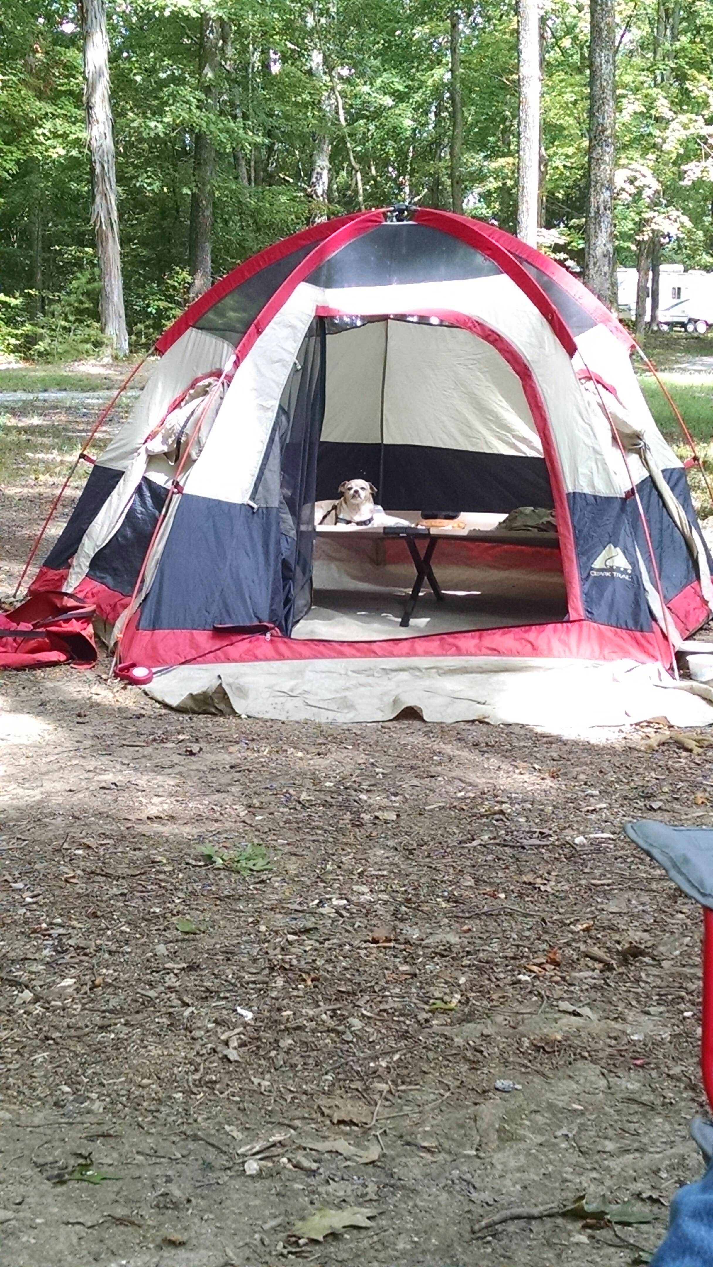 Susan A.'s photo at Youngs Creek Horse Camp near Shoals, IN