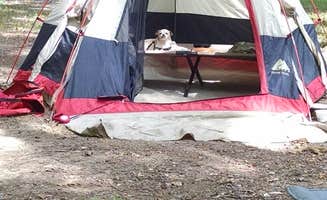 Susan A.'s photo at Youngs Creek Horse Camp near Campbellsburg, IN