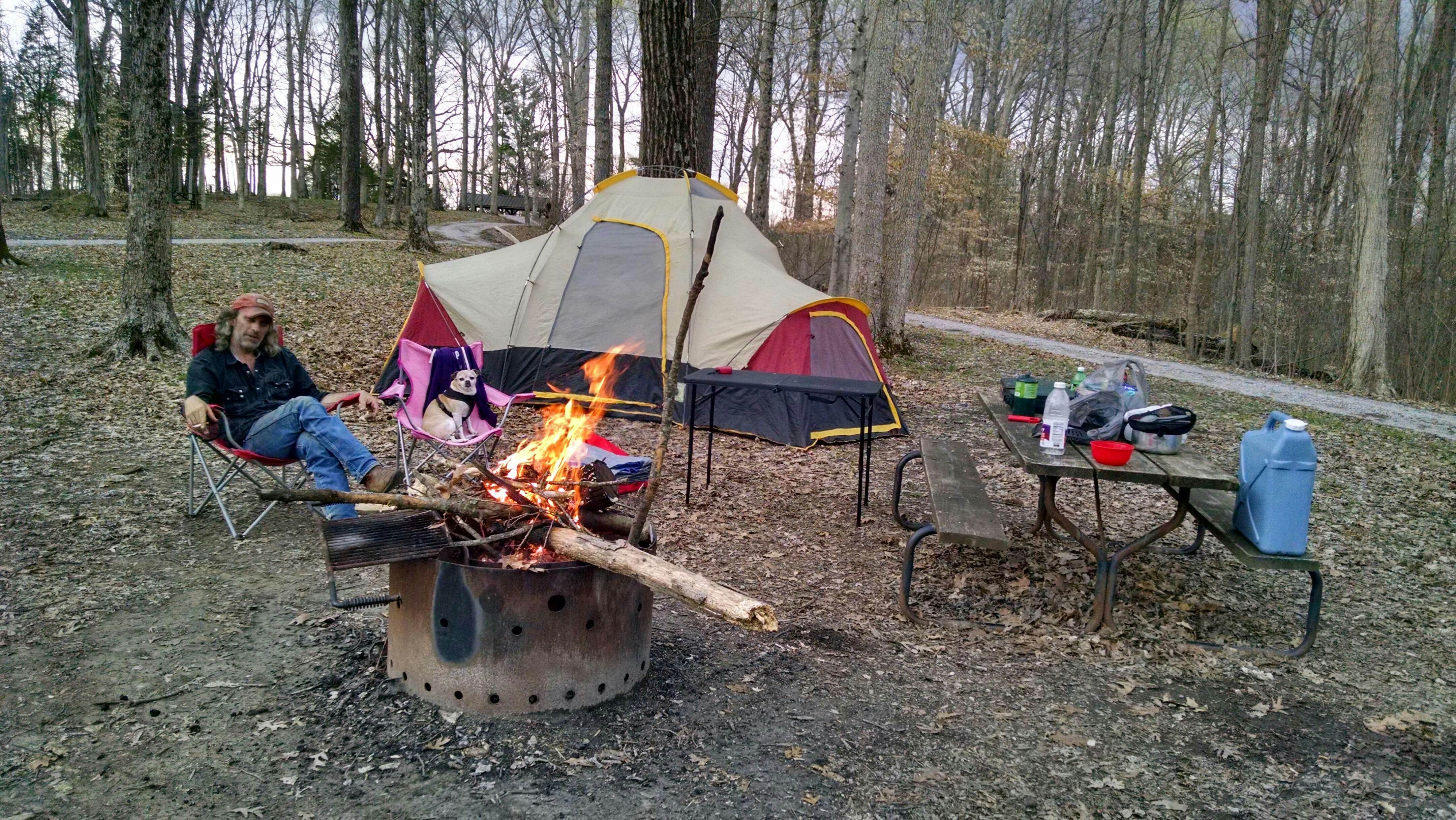 Camper submitted image from Youngs Creek Horse Camp - 2