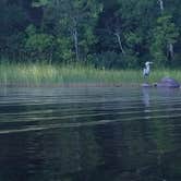 Review photo of Superior National Forest Fall Lake Campground by Robert P., August 18, 2019