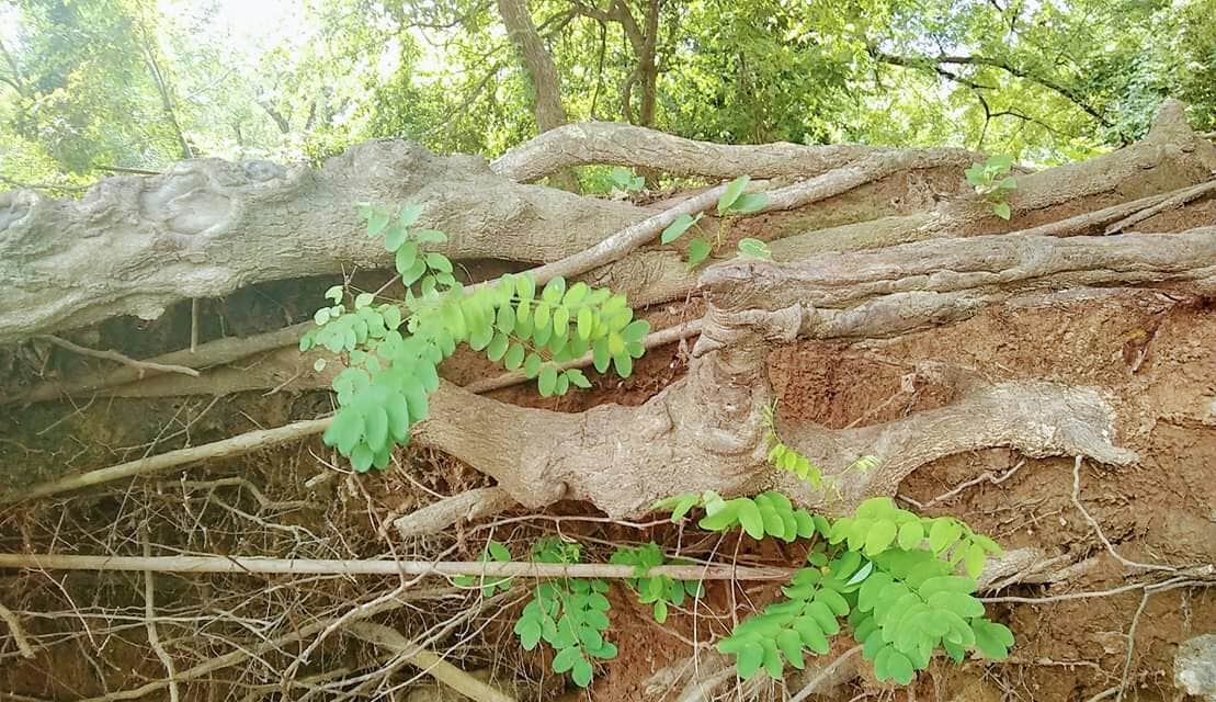 Camper-submitted photo at Baxter Springs Riverside Park near Miami, OK