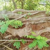 Review photo of Baxter Springs Riverside Park by Jamie F., August 18, 2019