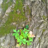 Review photo of Baxter Springs Riverside Park by Jamie F., August 18, 2019