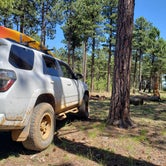 Review photo of Knoll Lake Campground by Whitney W., August 18, 2019