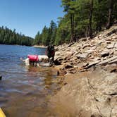 Review photo of Knoll Lake Campground by Whitney W., August 18, 2019