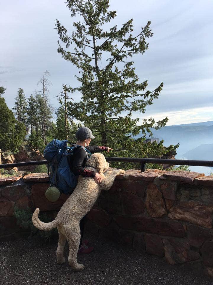 Camper submitted image from Red Canyon Campground - 5