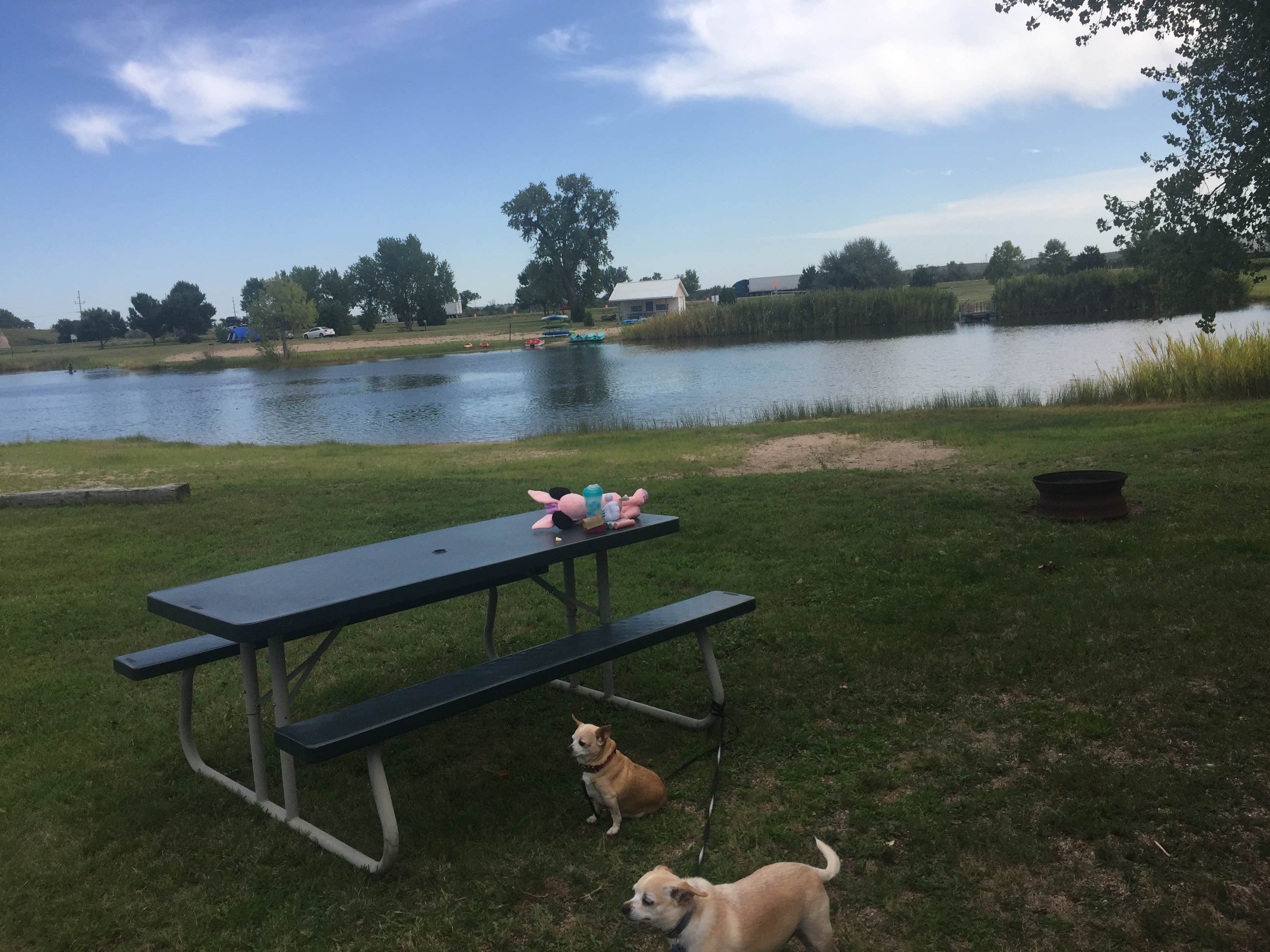 Jason V.'s photo of camping with pets at I-80 Lakeside Campground near North Platte, NE