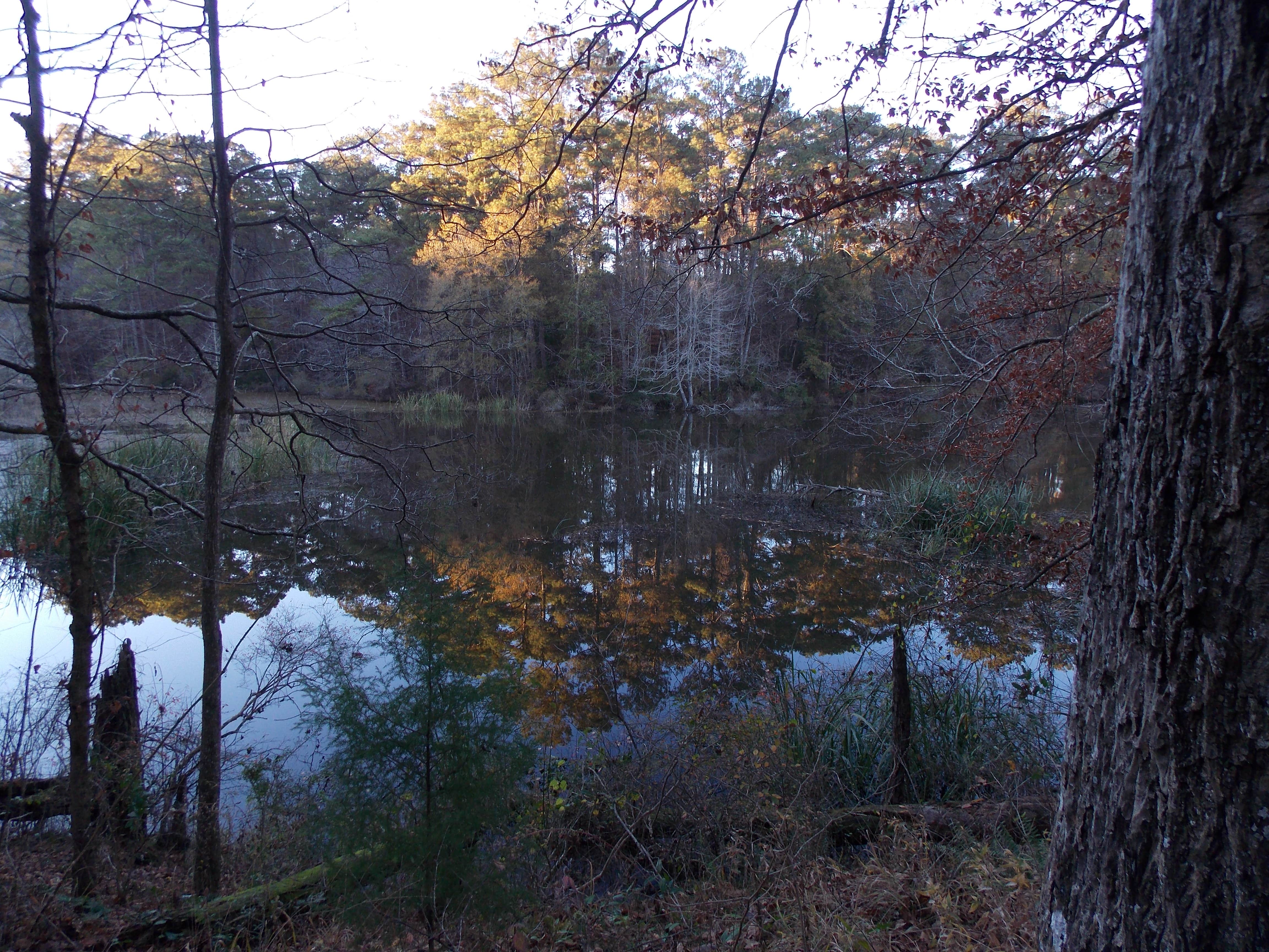 Camper submitted image from Percy Quin State Park — Percy Quinn State Park - 3