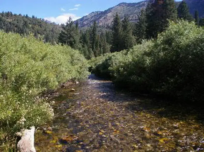 Camper-submitted photo at Willow Flat Campground near Smoot, WY