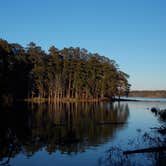 Review photo of Percy Quin State Park — Percy Quinn State Park by Sheep S., August 18, 2019