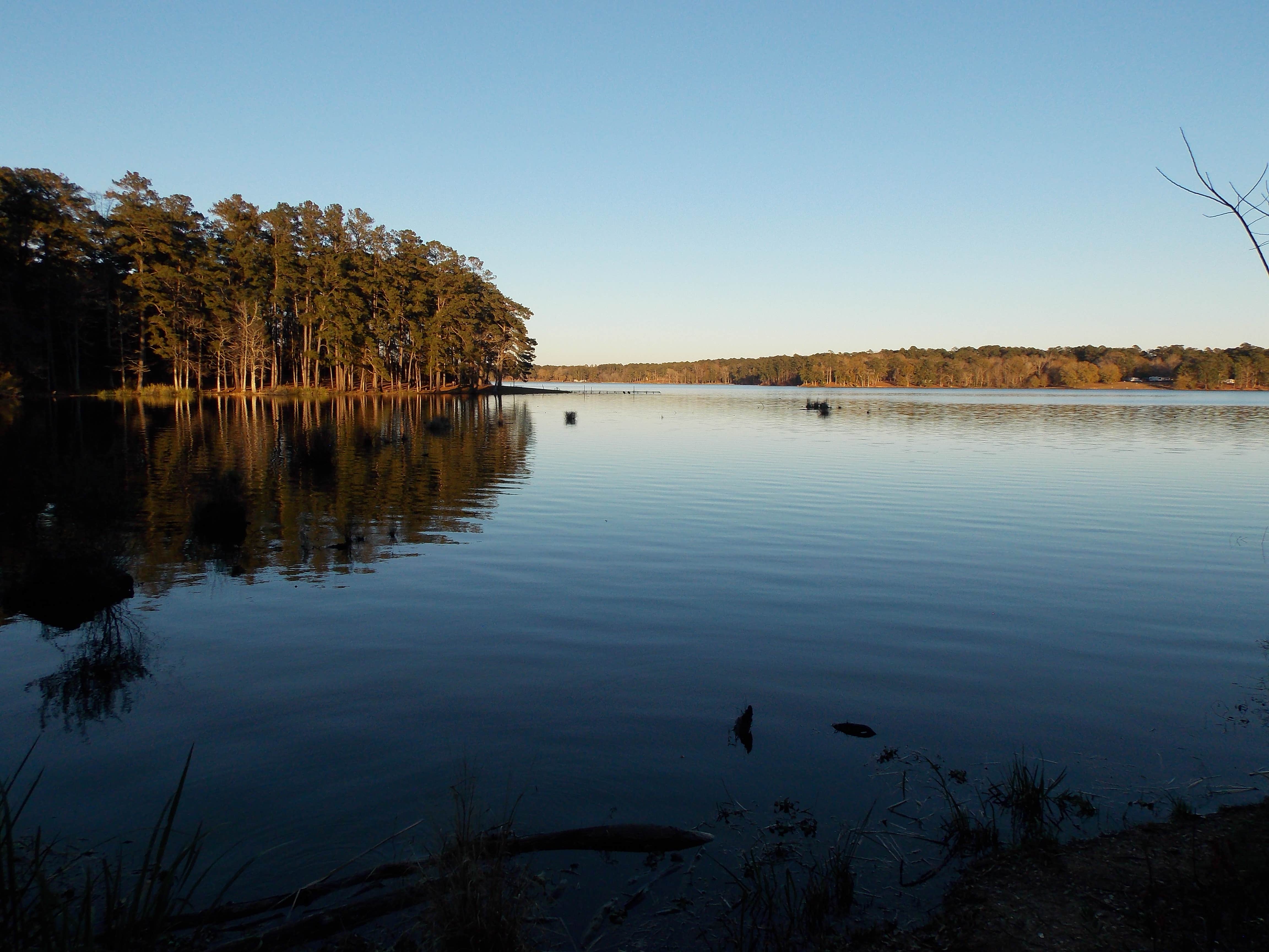 Camper-submitted photo at Percy Quin State Park — Percy Quinn State Park near Gloster, MS