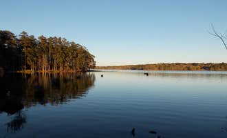 Camping near Paradise Ranch RV Resort: Percy Quin State Park — Percy Quinn State Park, McComb, Mississippi