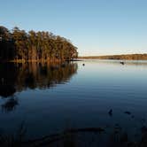 Review photo of Percy Quin State Park — Percy Quinn State Park by Sheep S., August 18, 2019