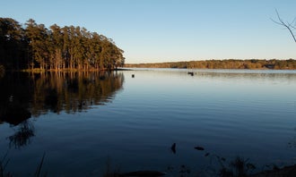 Camping near Clear Springs Recreation Area: Percy Quin State Park — Percy Quinn State Park, McComb, Mississippi