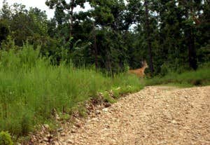 Camper-submitted photo at Yogi Bear's Jellystone Park Resort At Six Flags near Arnold, MO