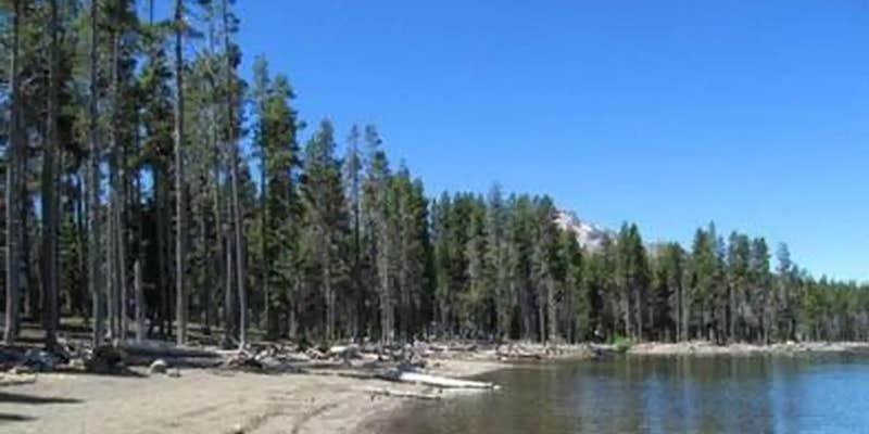 Camper submitted image from Fourmile Lake Campground