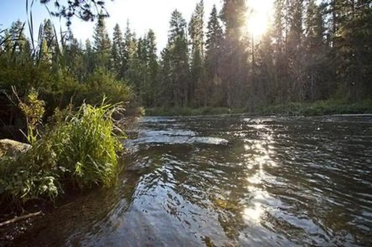 Camping near North Twin Lake Campground: North Davis Creek Campground, Gilchrist, Oregon