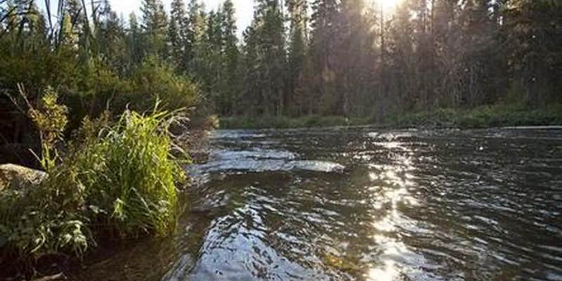 Camper submitted image from North Davis Creek Campground