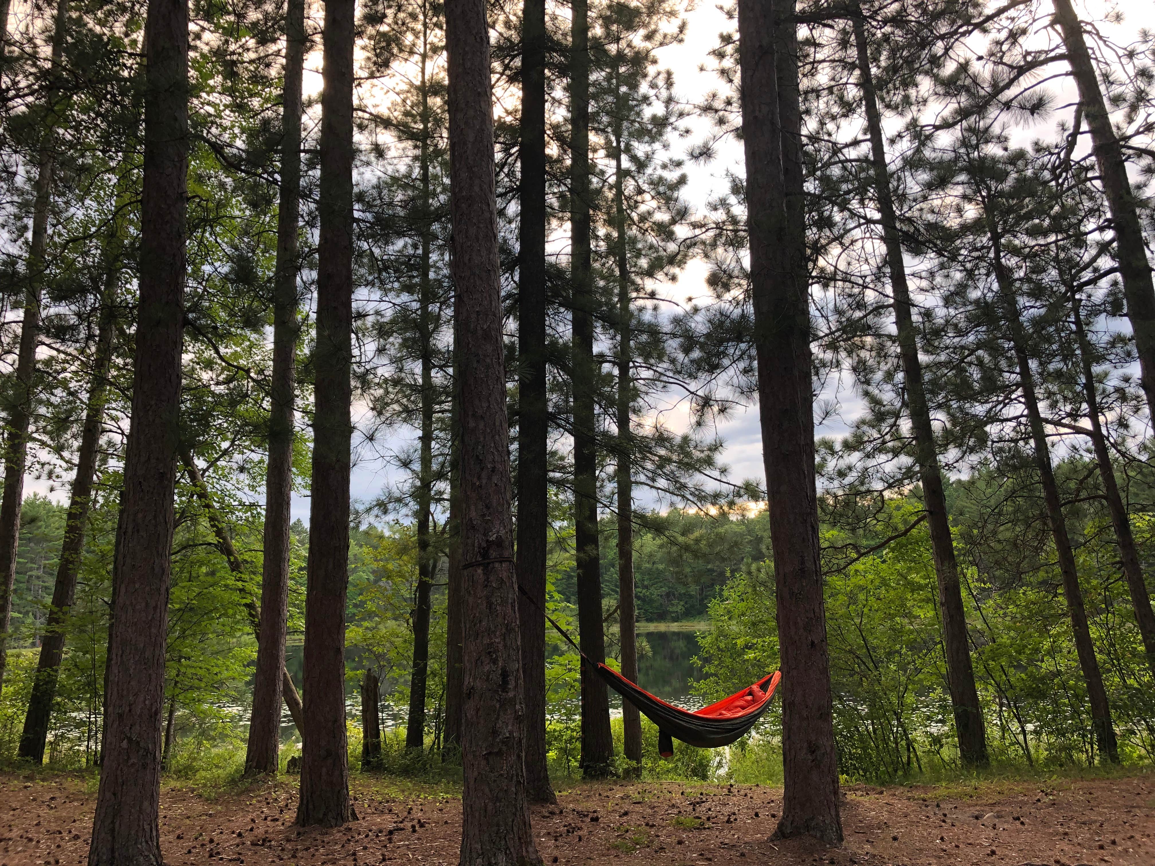 Camper submitted image from Round Lake State Forest Campground - 4