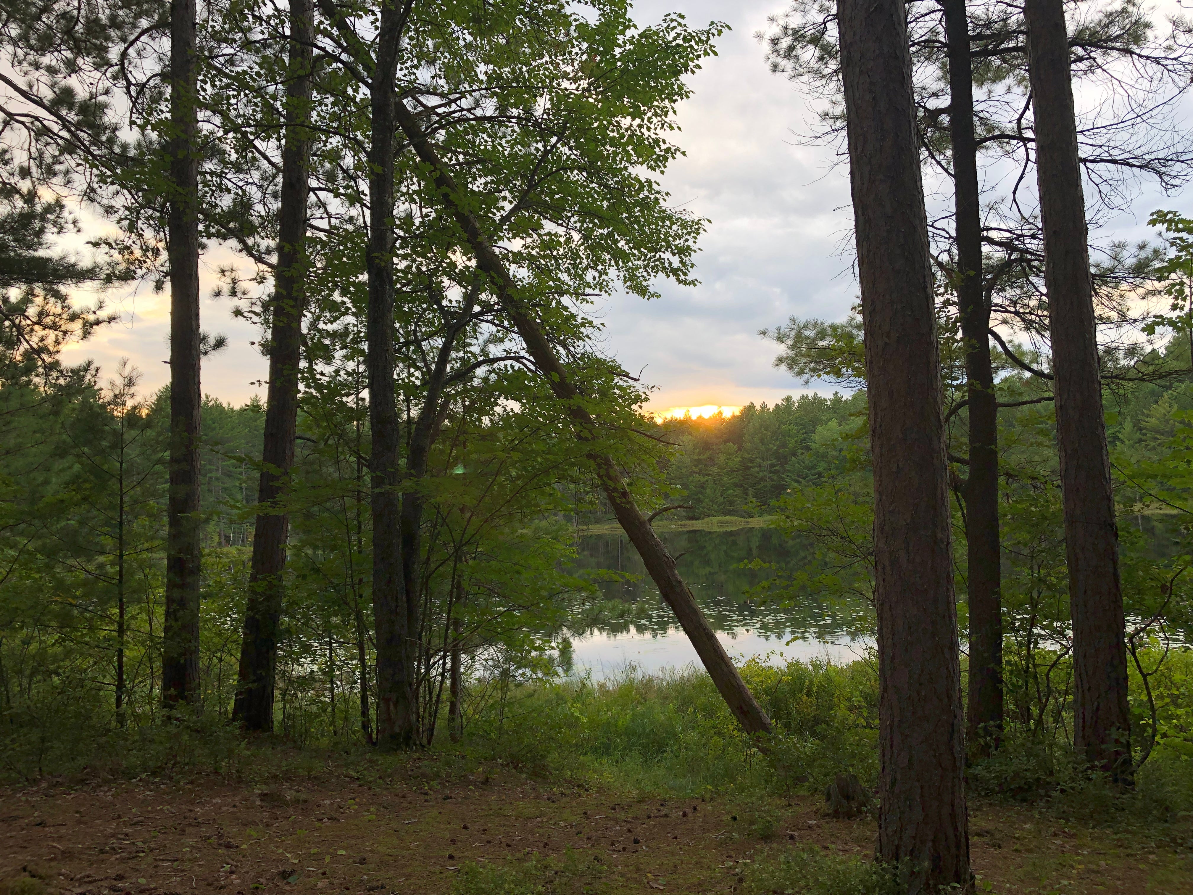 Camper submitted image from Round Lake State Forest Campground - 2