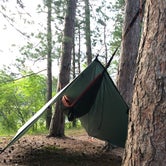 Review photo of Round Lake State Forest Campground by Kate K., August 18, 2019