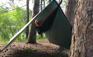 Kate K.'s photo at Round Lake State Forest Campground near Gaylord, MI