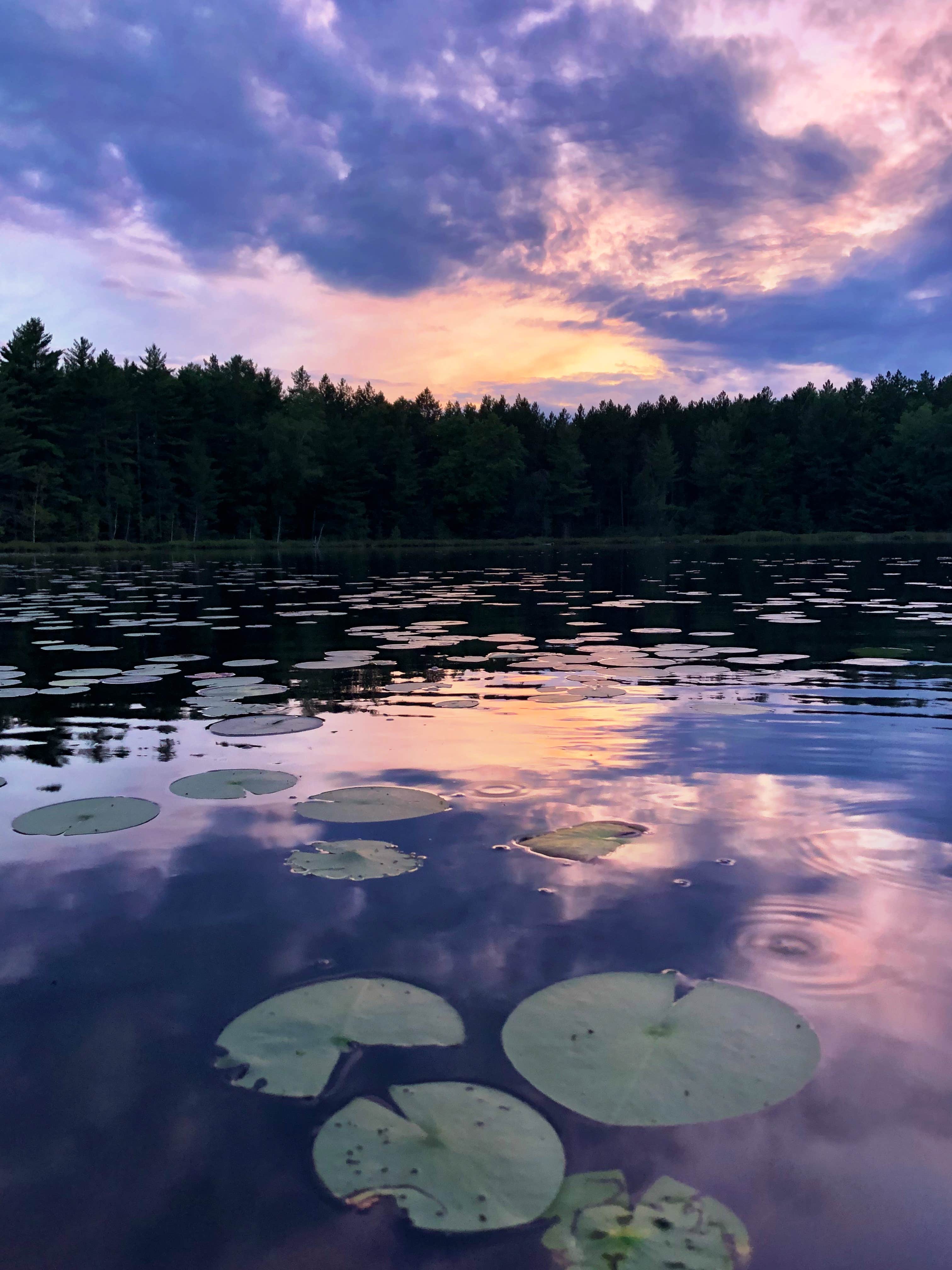 Camper submitted image from Round Lake State Forest Campground - 3