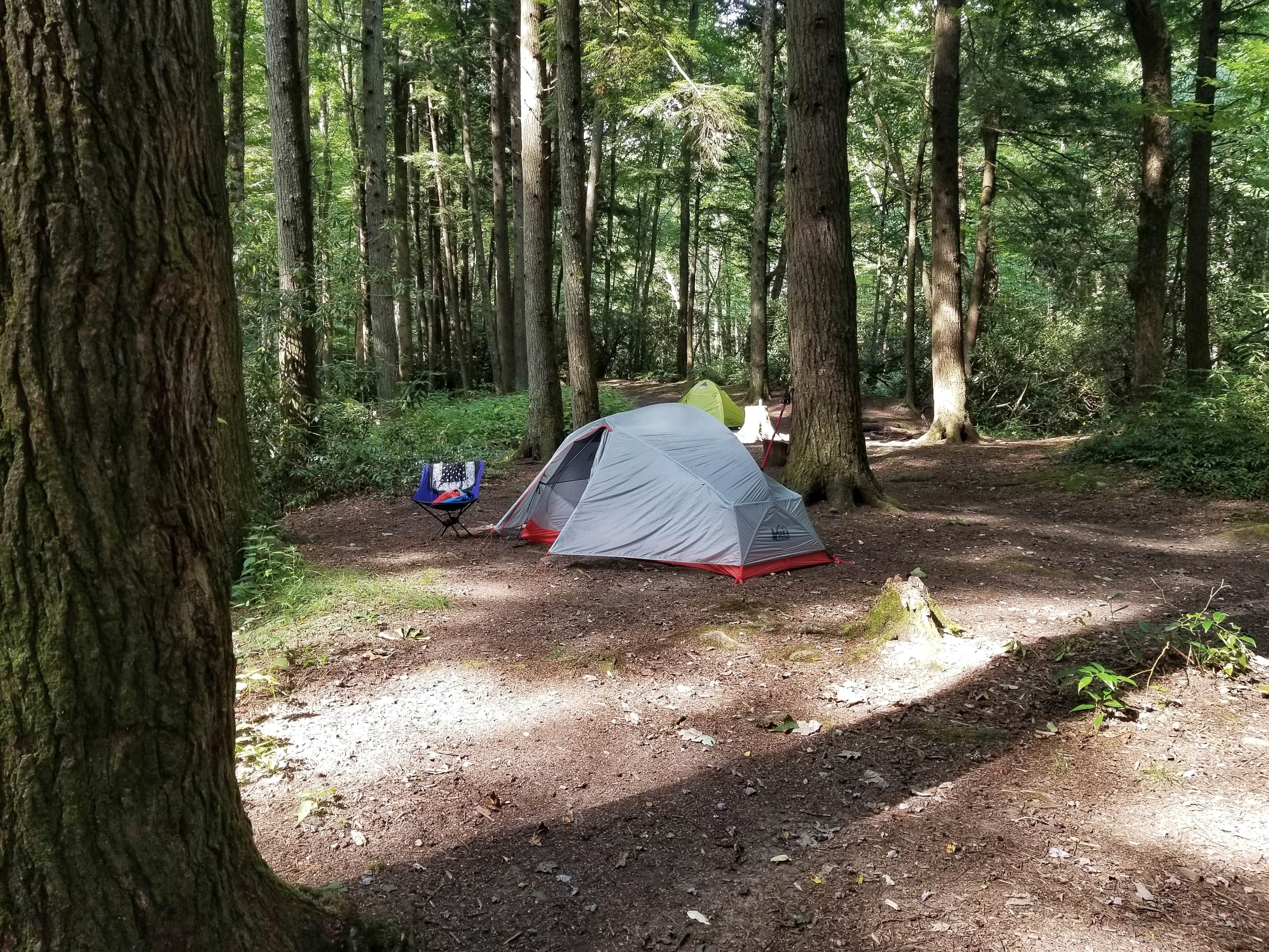 Christina  Z.'s photo at 37 Lower Walnut Bottom near Hartford, TN