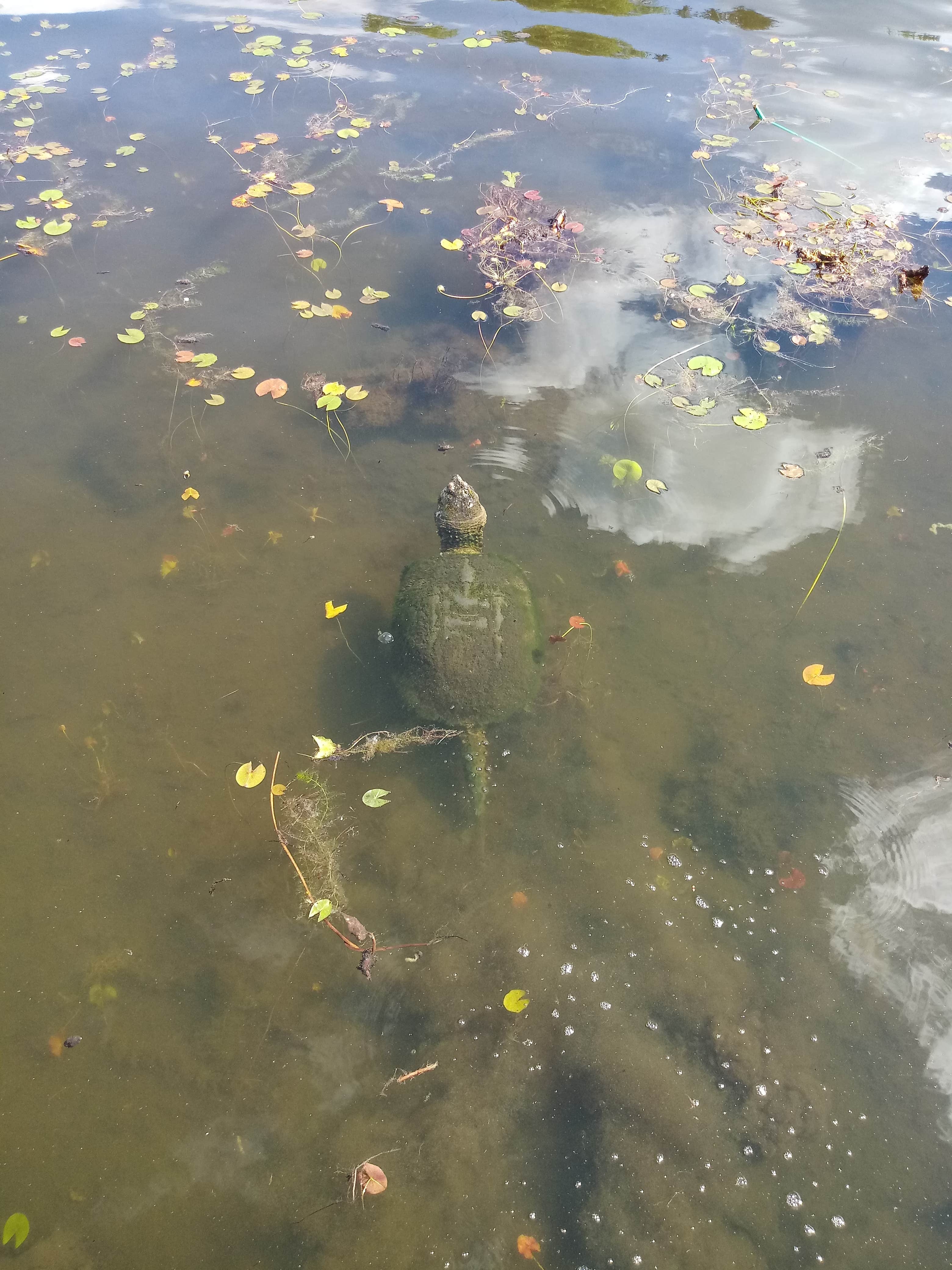 Camping near Sandstone Ridge Campground — Mirror Lake State Park: Red Oak Campgrounds, Lake Delton, Wisconsin