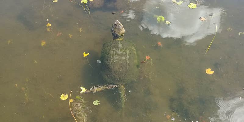 Camper submitted image from Red Oak Campgrounds