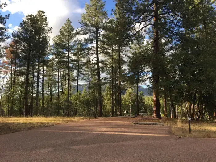 Camper-submitted photo at Sharp Creek near Young, AZ