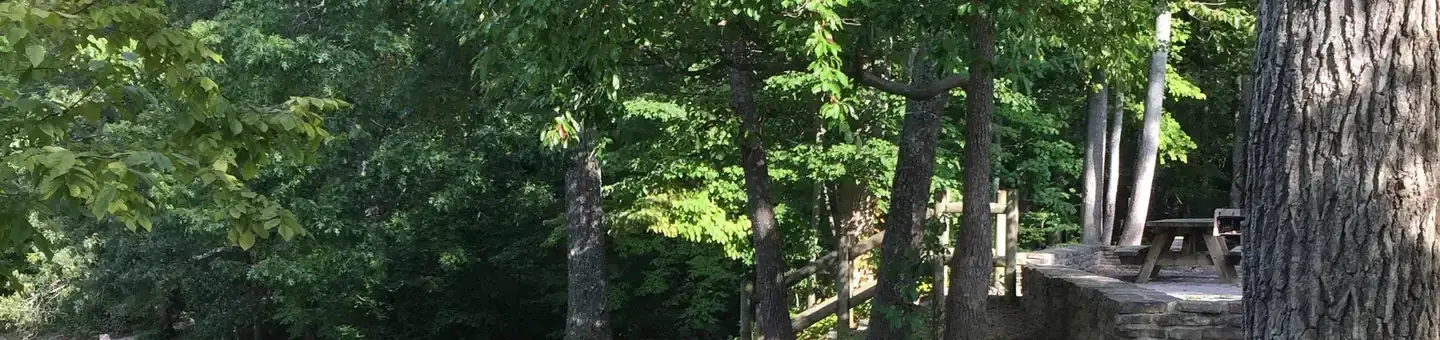 Camper-submitted photo at Chilhowee Recreation Area near Etowah, TN