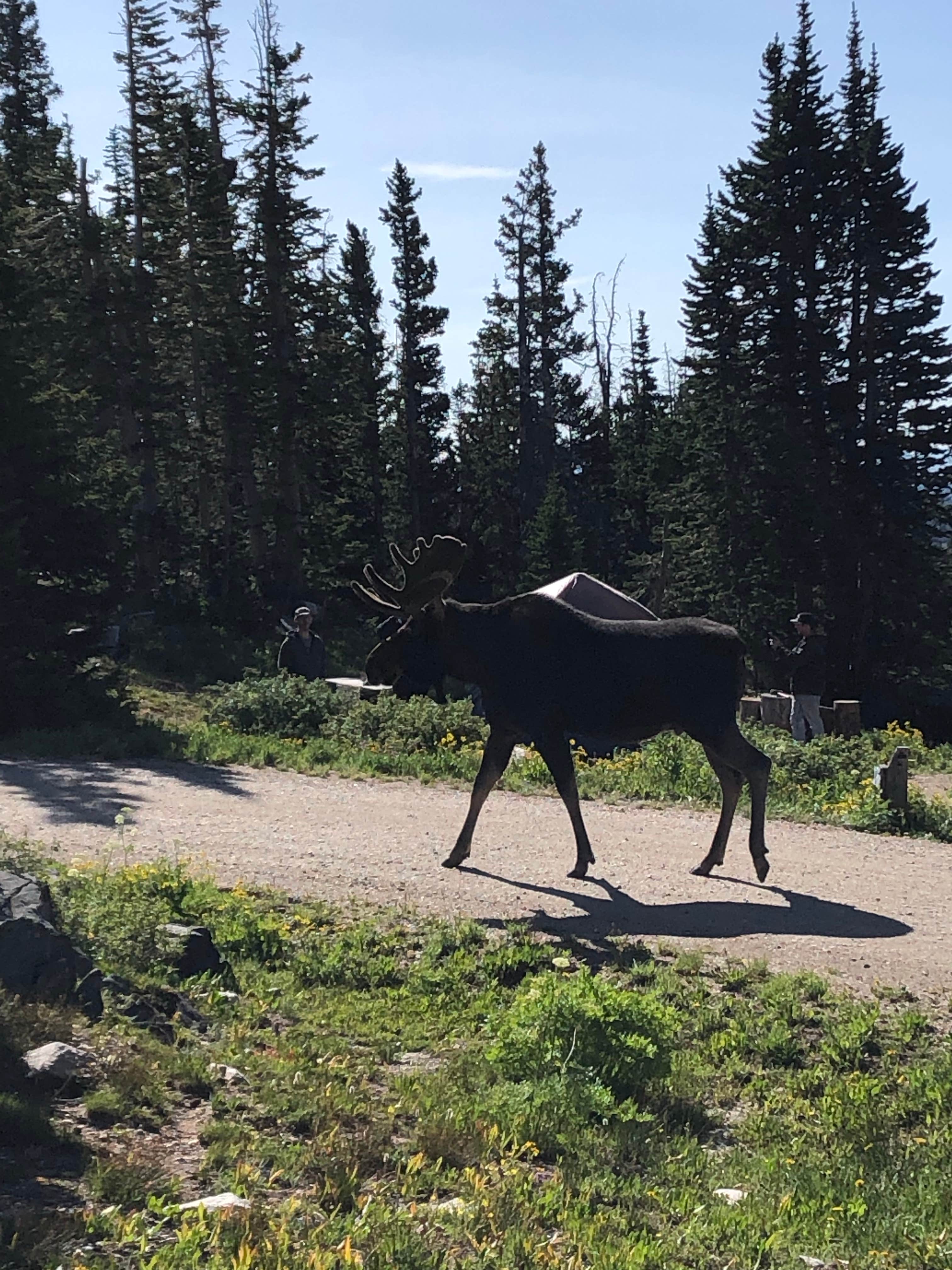 Camper submitted image from Sugarloaf Campground - 5