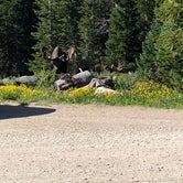 Review photo of Sugarloaf Campground by Connor B., August 19, 2019