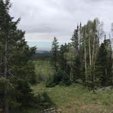 Review photo of Grizzly Ridge Yurt by Tammy H., September 26, 2016