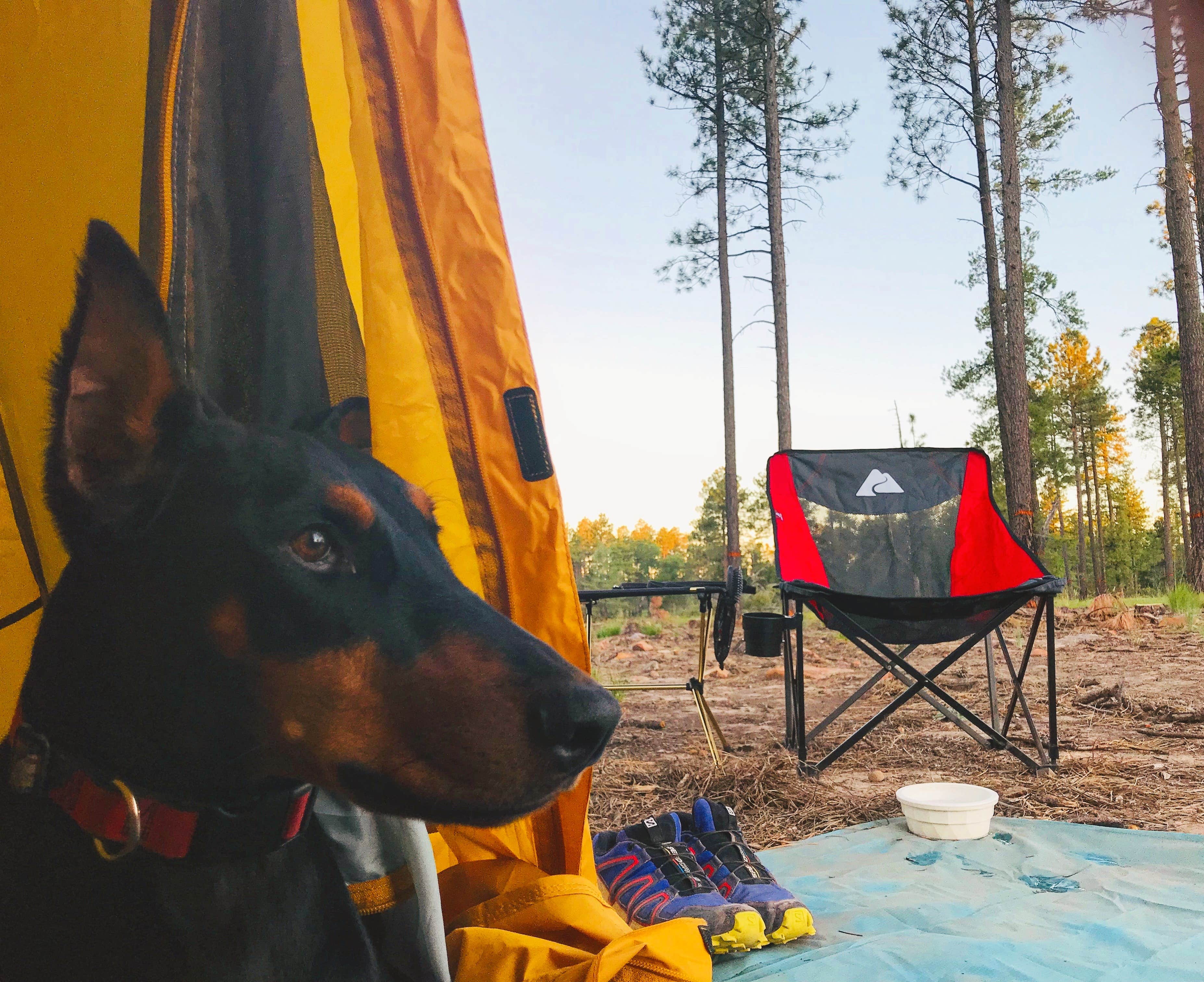 Shannon H.'s photo at Fr 9350 Campground near Kohls Ranch, AZ