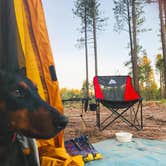 Review photo of Carr Lake Campground on Forest Road 9350 by Shannon H., August 19, 2019