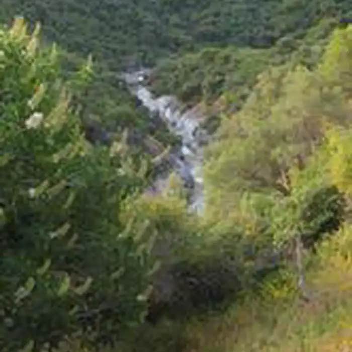 Buckeye Flat Campground — Sequoia National Park