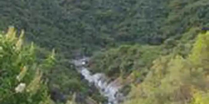 Camper submitted image from Buckeye Flat Campground — Sequoia National Park