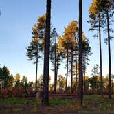 Review photo of Carr Lake Campground on Forest Road 9350 by Shannon H., August 19, 2019