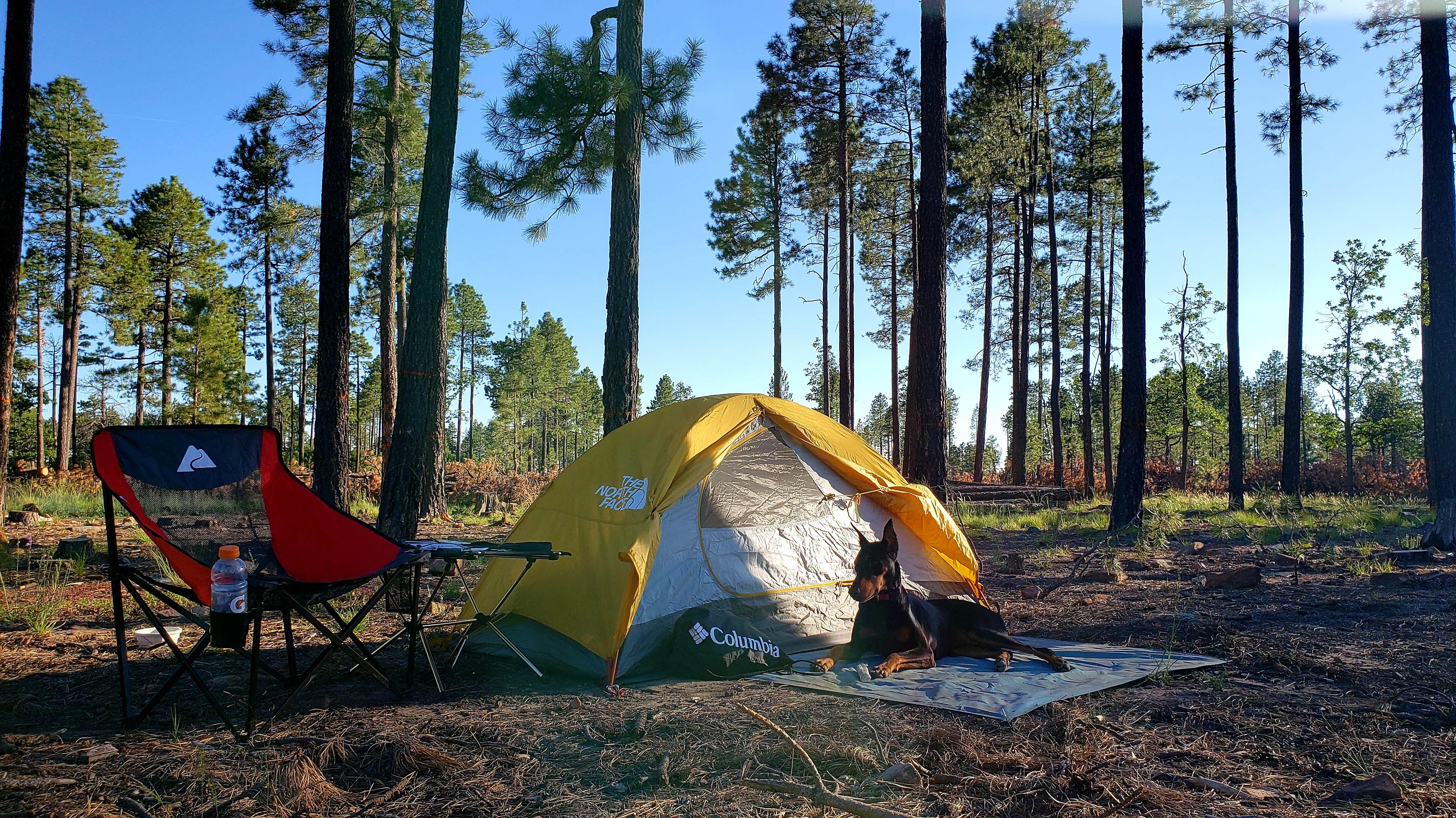 Camper-submitted photo at Carr Lake Campground on Forest Road 9350 near Sun Valley, AZ