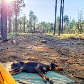 Review photo of Carr Lake Campground on Forest Road 9350 by Shannon H., August 19, 2019