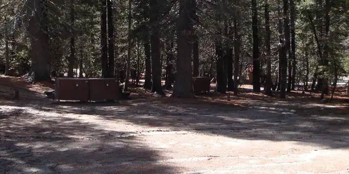 Camper submitted image from Pumice Flat Group Camp