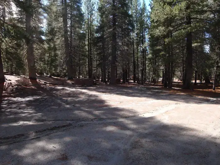 Camper-submitted photo at Pumice Flat Group Camp near Devils Postpile National Monument