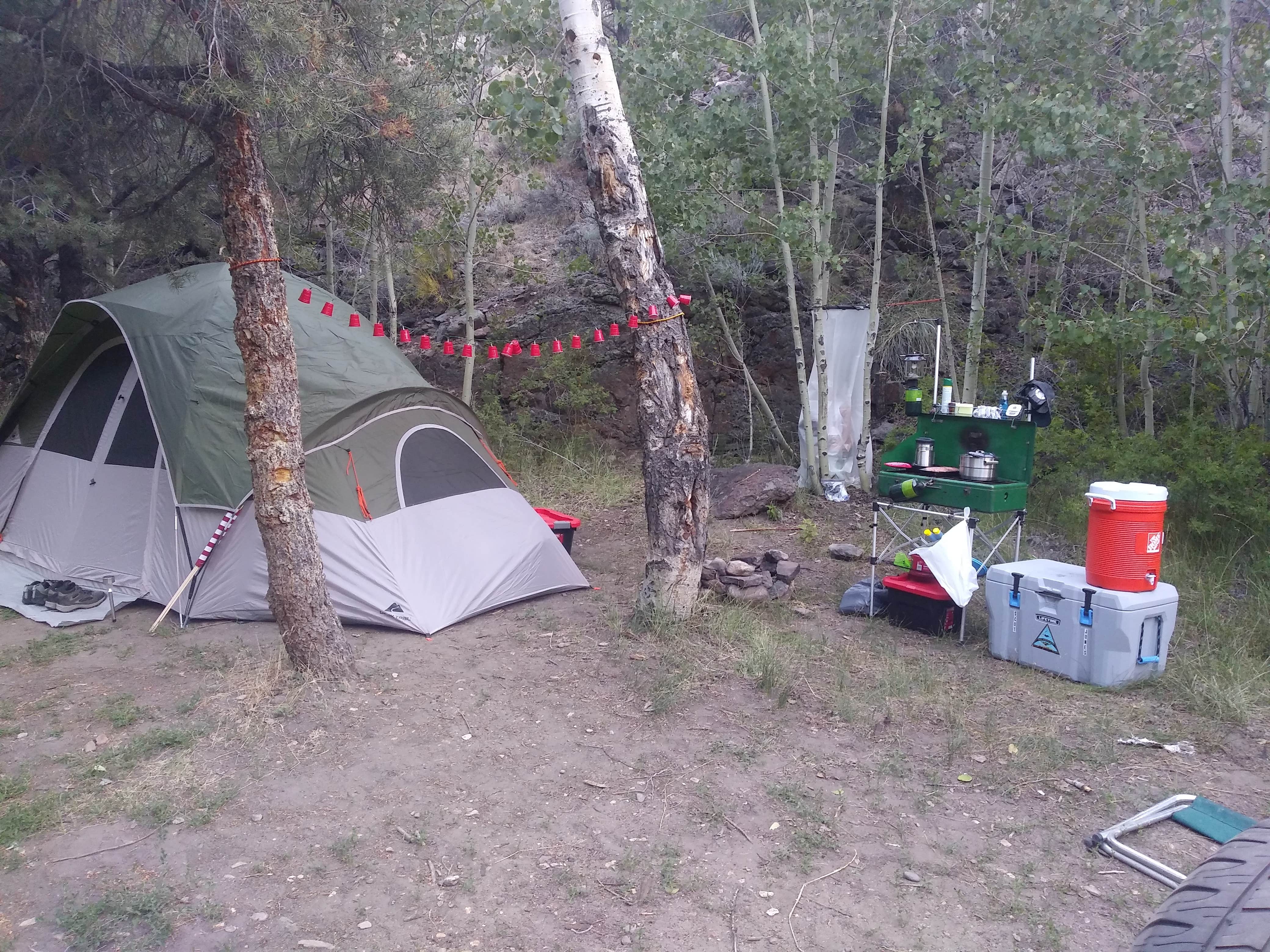 Scot J.'s photo at Desert Creek Campground near Wellington, NV