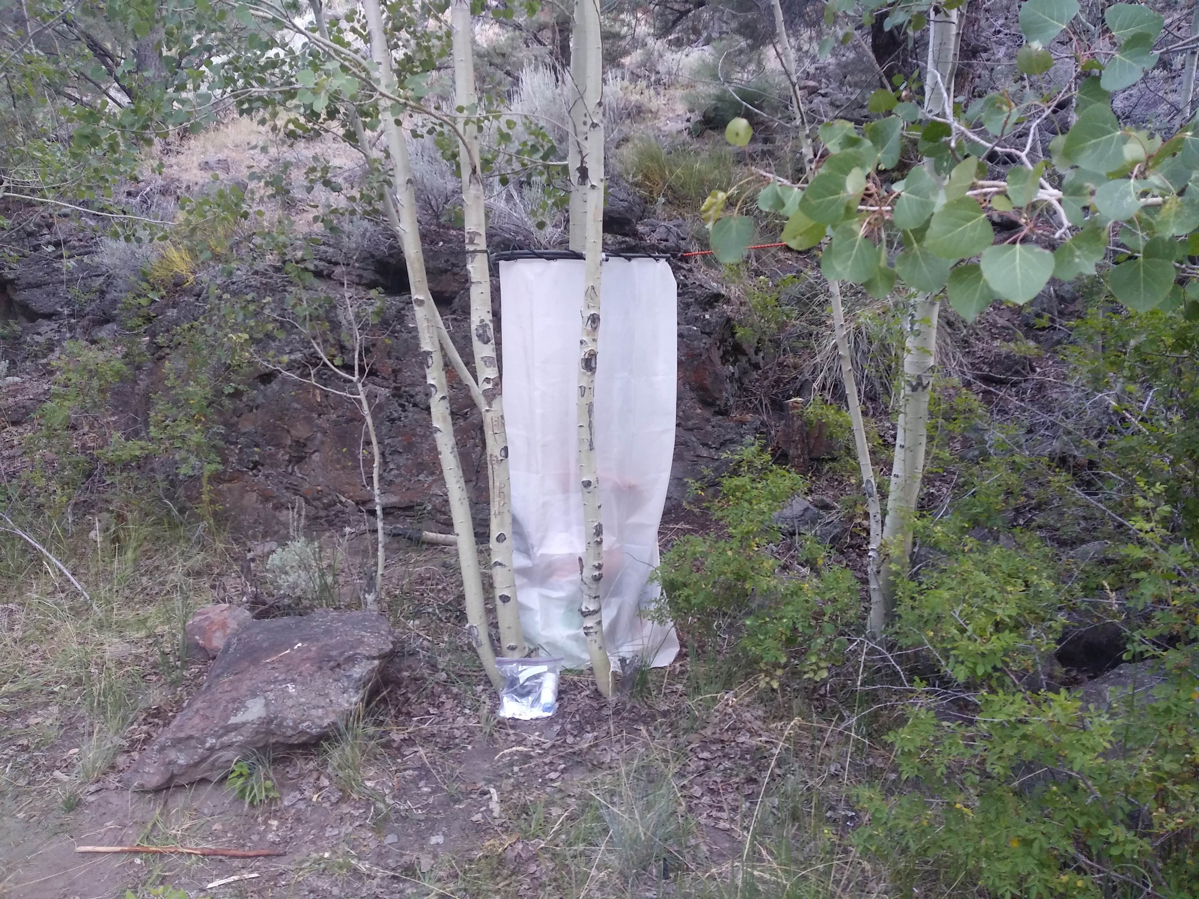 Camper-submitted photo at Desert Creek Campground near Wellington, NV